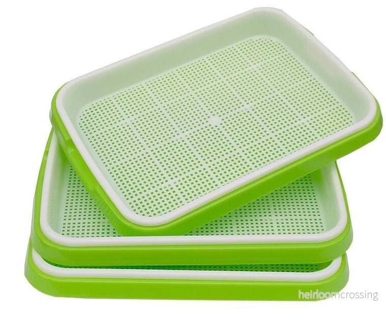 Plantskolan – för 88 plantor eller för groddning av microgreens Plantskolan – för 88 plantor eller för groddning av microgreens