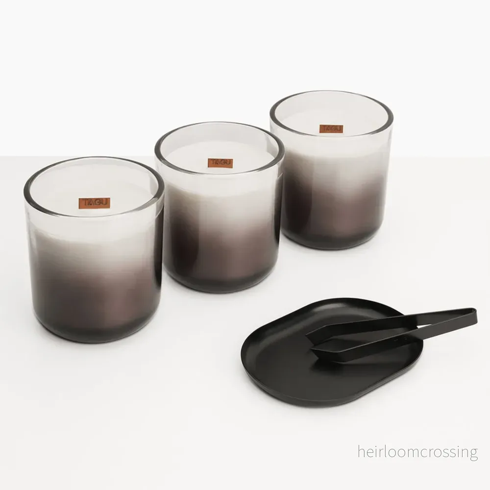 Elkamin TAGU Magna Ljus Eldstad ZenFlame - Bild 3