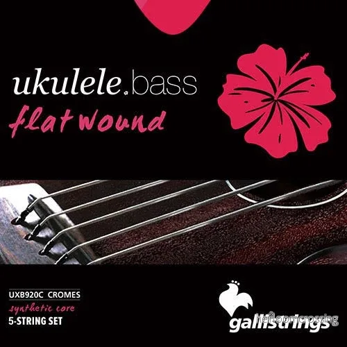 Gallistrings – U•BASS Flatwound 5 str Gallistrings – U•BASS Flatwound 5 str