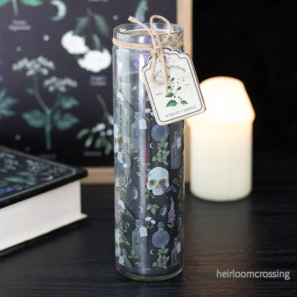 Poisonous Plants Deadly Nightshade Glasrörsljus Poisonous Plants Deadly Nightshade Glasrörsljus