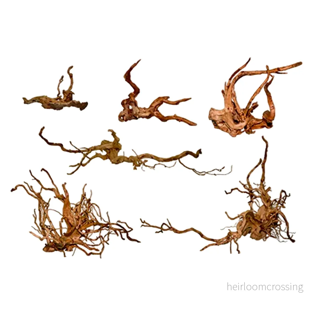 Redmoor rot liten ca 15-20 cm