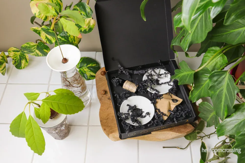 Deluxe presentset (växtförökning) Deluxe presentset (växtförökning)