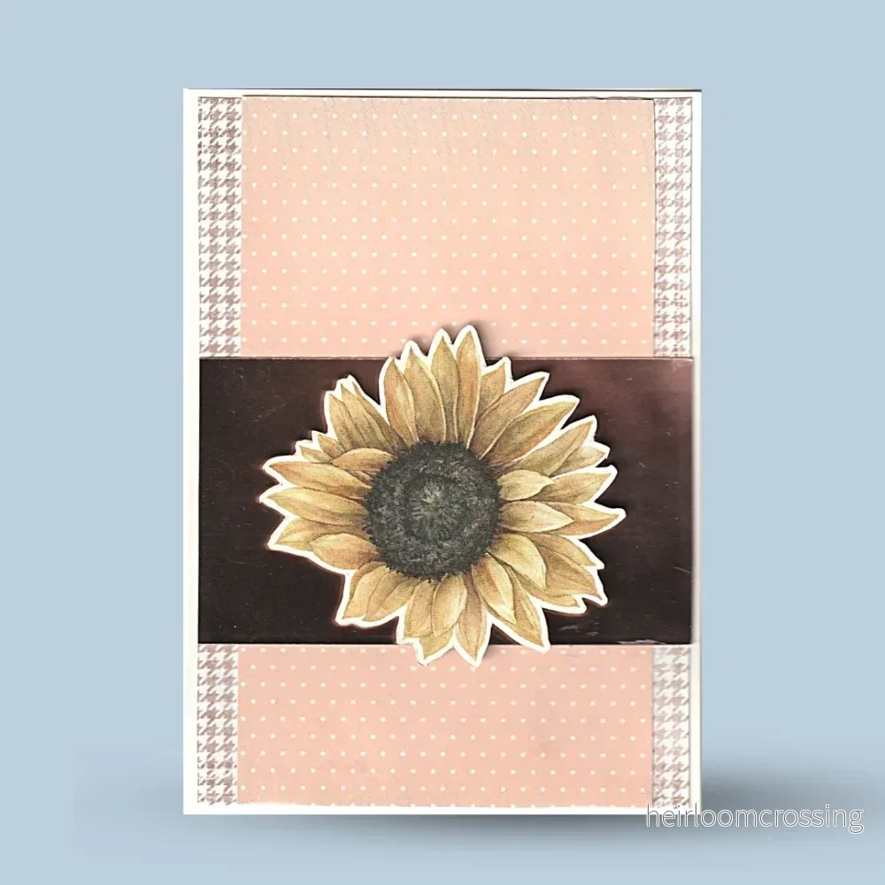 Gratulationskort A6: Rosa, solros