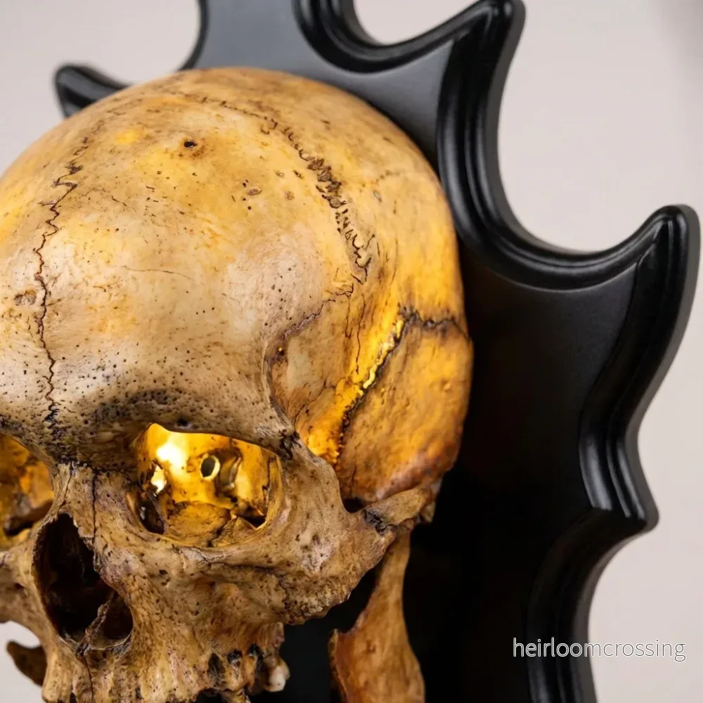 Väggmonterad dödskallelampa – Nocturiskull - Bild 3