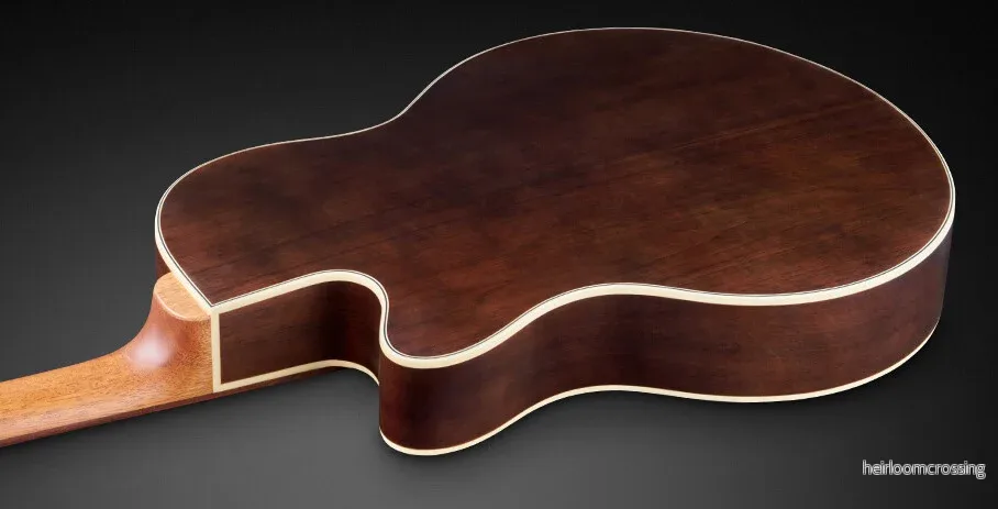RockBass Alien Deluxe Hybrid Thinline, 5-strängad - Bild 2