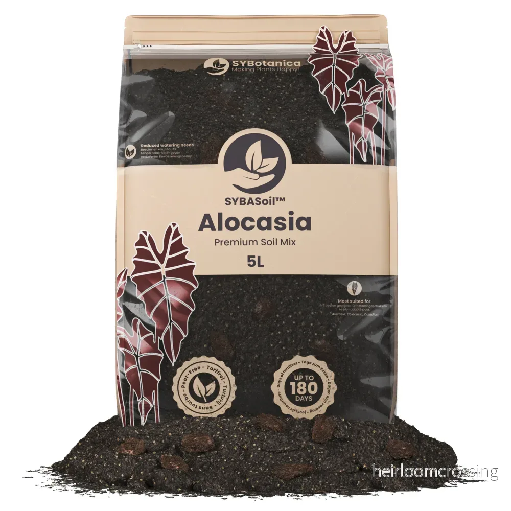 Alocasiajord (5 L) Alocasiajord (5 L)