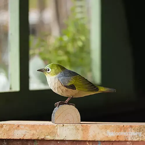 DecoBird Gråryggig glasögonfågel