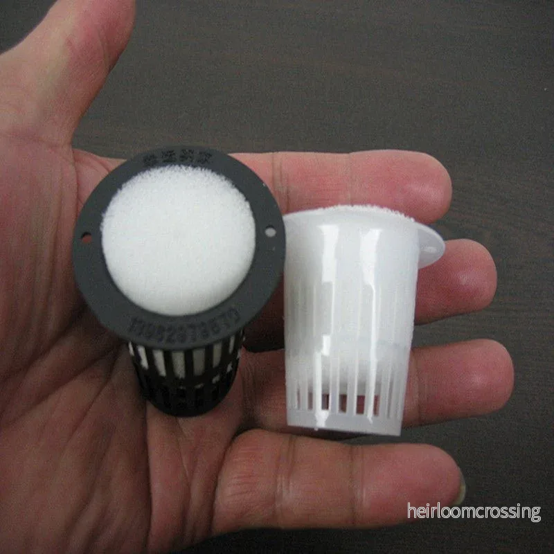 Nätkruka 32 mm med odlingssvamp - 20 pack - Bild 2