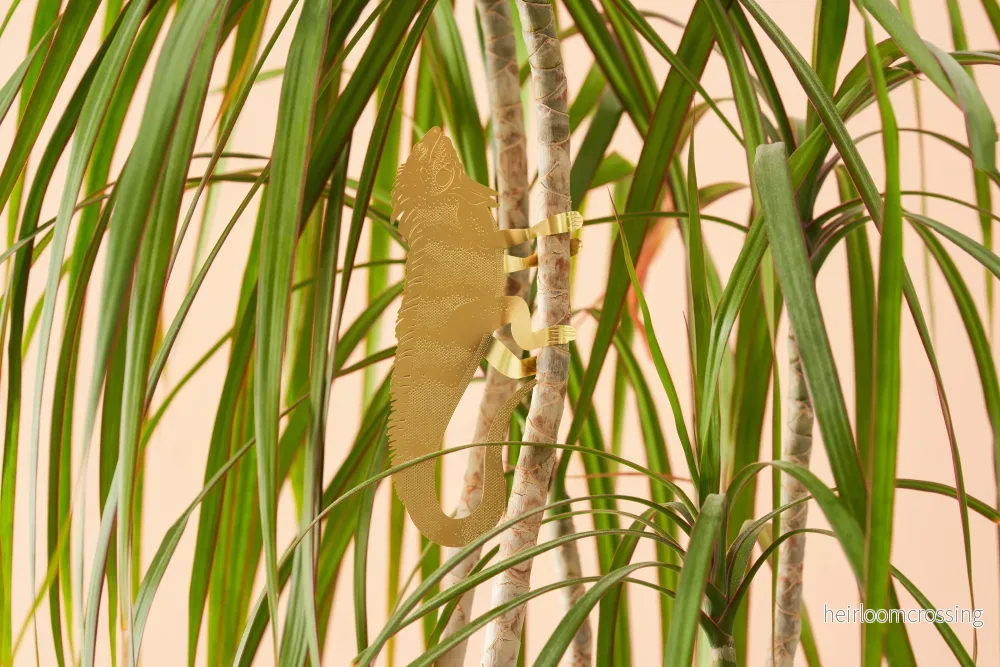 leguan (stor) - Bild 3