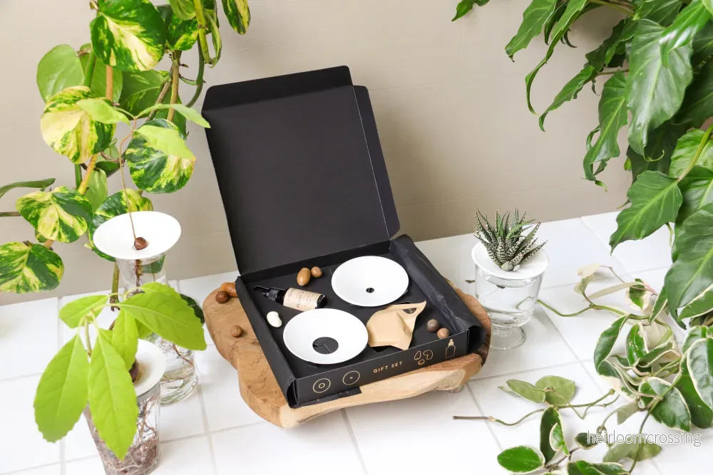 Deluxe presentset (växtförökning) - Bild 3