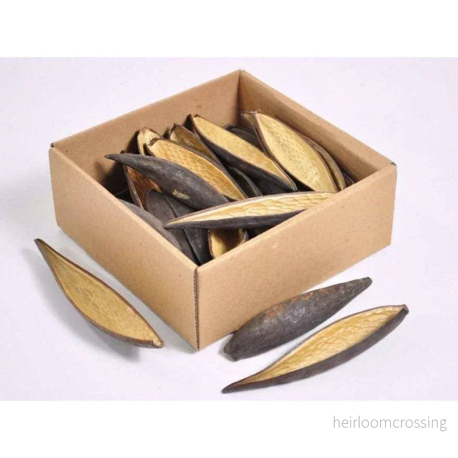 Canoinhas Pod 10–14 cm