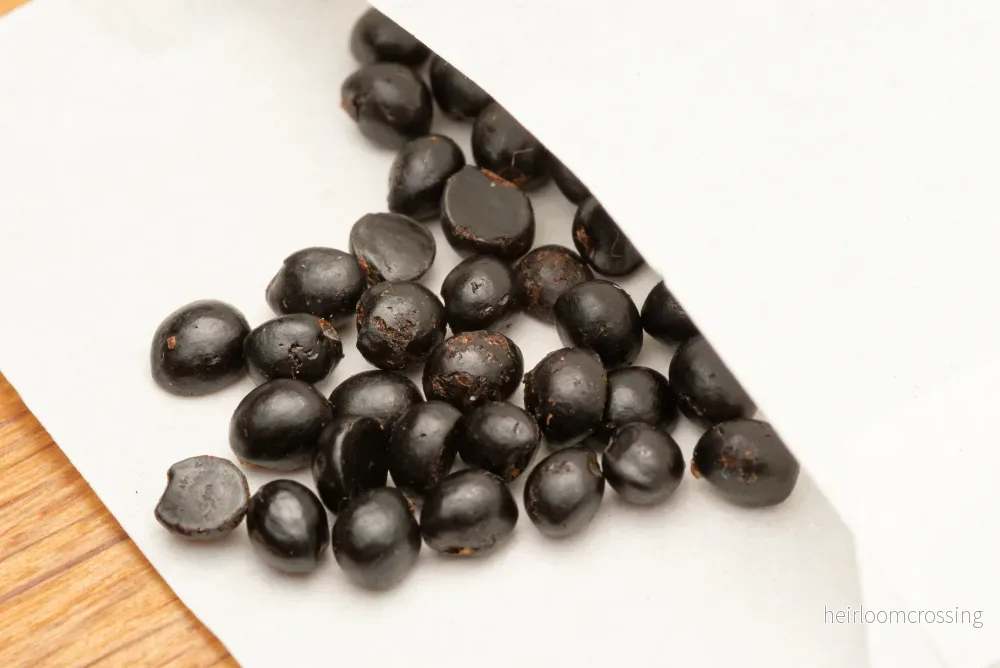 Japanskt pepparträd (Zanthoxylum piperitum) | frön, 10 st. - Bild 2
