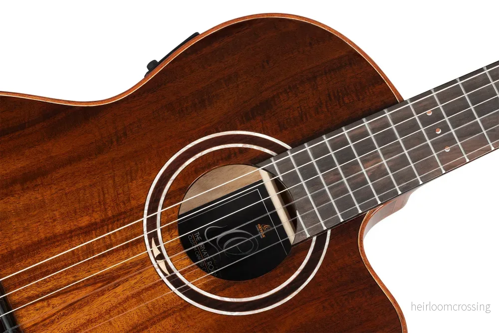 Ortega TourPlayer Exotic Suite CE - Bild 2