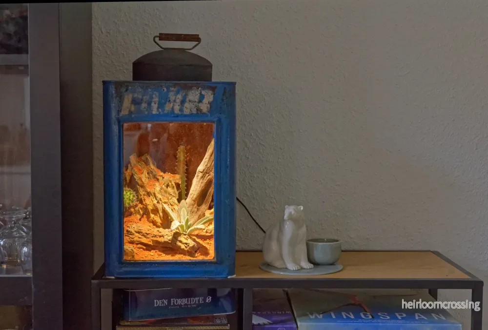 Ökenterrarium - Bild 2