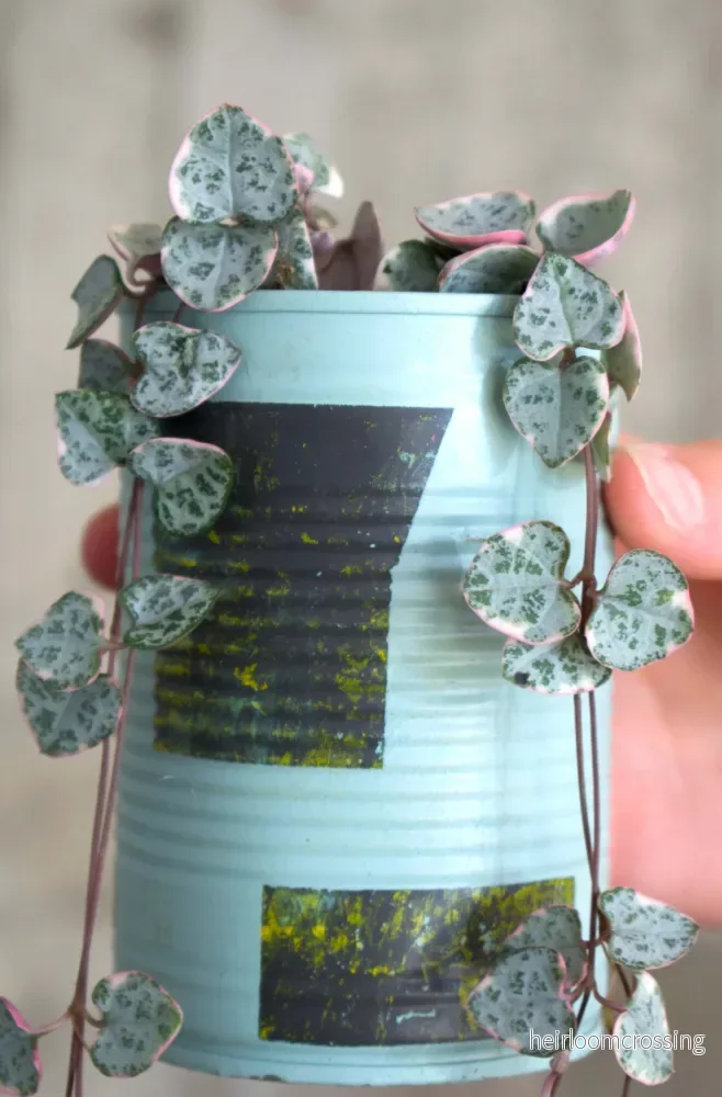 Upcycle krukor vår 2024 Upcycle krukor vår 2024