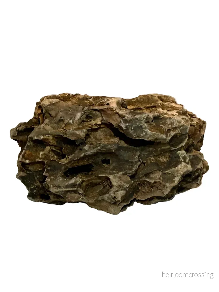 Dragon Stone