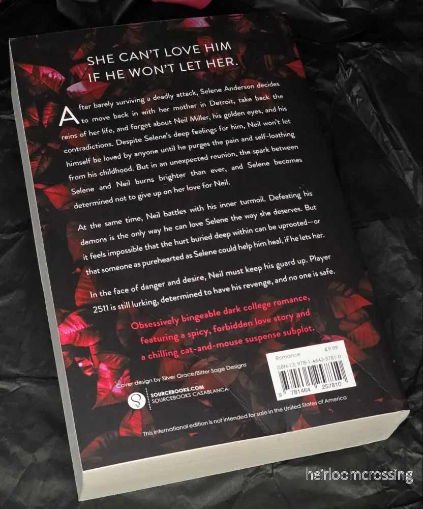 A Dangerous Game (Kiss Me Like You Love Me #2), by Kira Shell (softback, english edition) - Bild 2