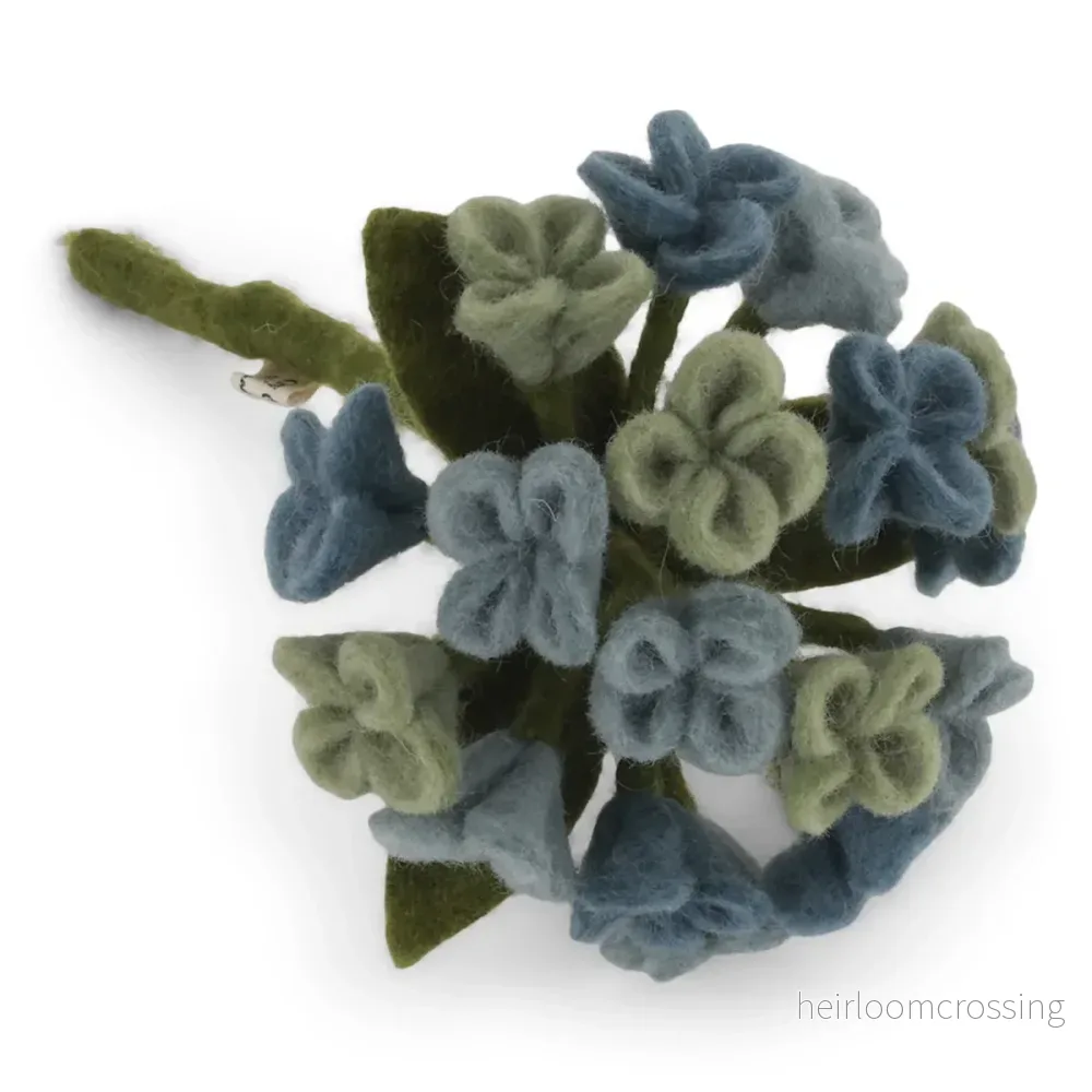 Tovad Hortensia Tovad Hortensia
