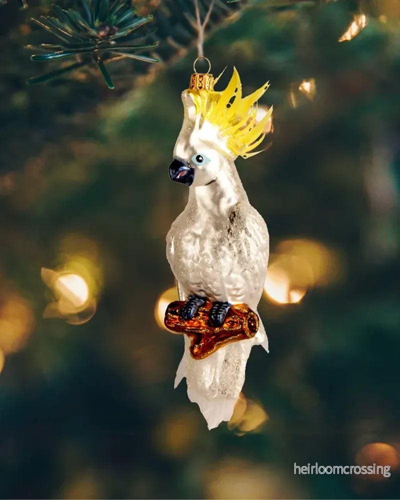 Kakadua papegoja (julboll)