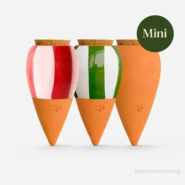 Holiday Water (Mini 3-pack, randig) Holiday Water (Mini 3-pack, randig)