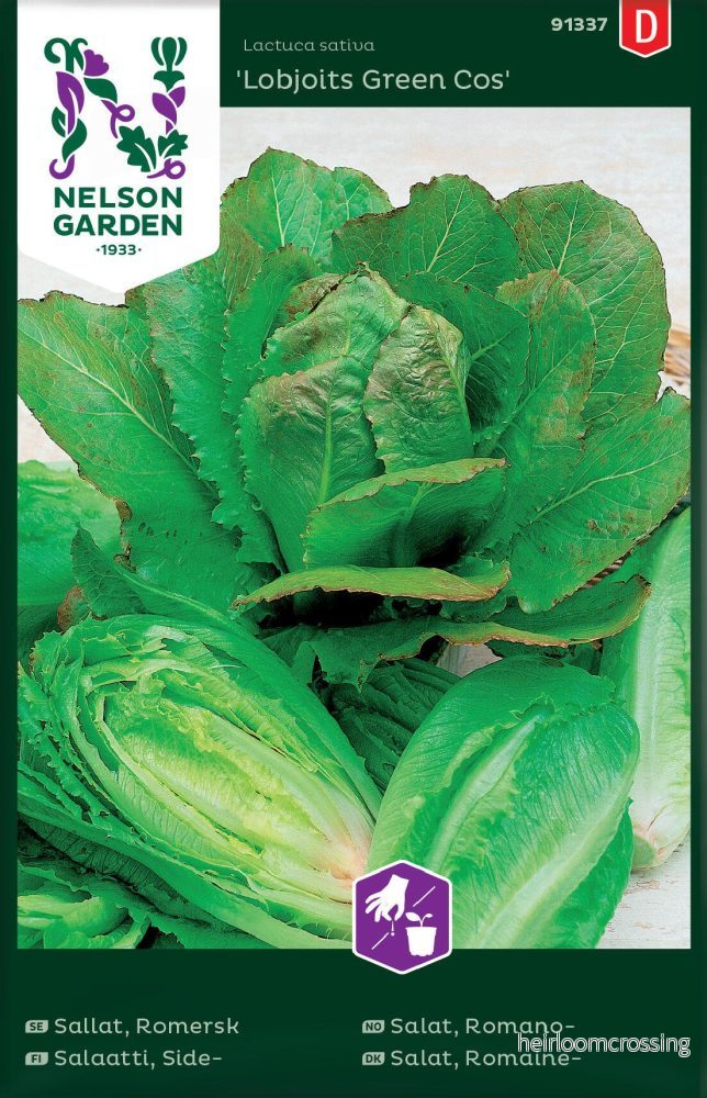 Romansallad frön ”Lobjoits Green Cos” Romansallad frön ”Lobjoits Green Cos”