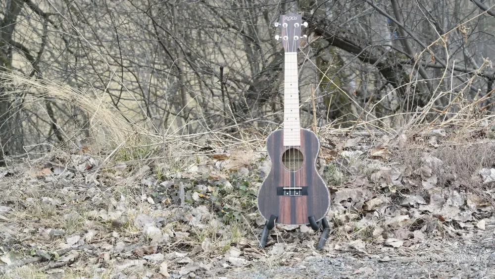 Ebony - Konsertukulele - Bild 2