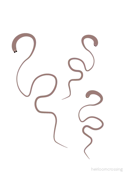 Nematoder | Mot Sorgmyggor & Trips