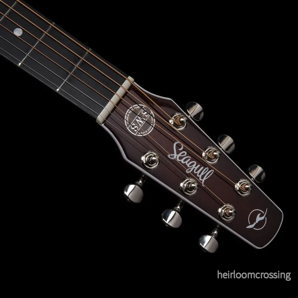 SWS CW GT Presys II - Bild 3