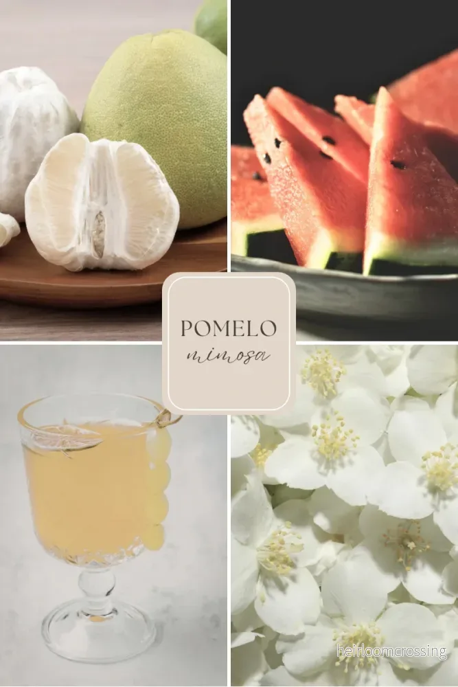 Doftvax – pomelo & vattenmelon för aromalampa – Pomelo Mimosa (4 Doftpraliner™) - Bild 2