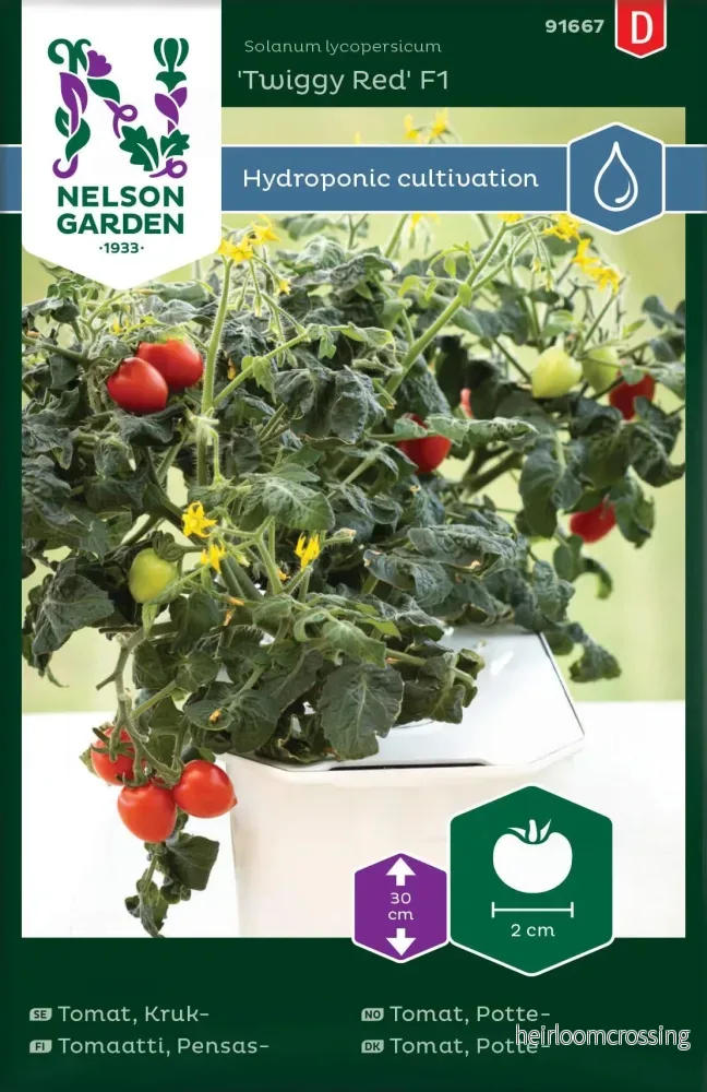 Körsbärstomat ’Twiggy Red’ F1 Nelson Garden 91667 Körsbärstomat ’Twiggy Red’ F1 Nelson Garden 91667