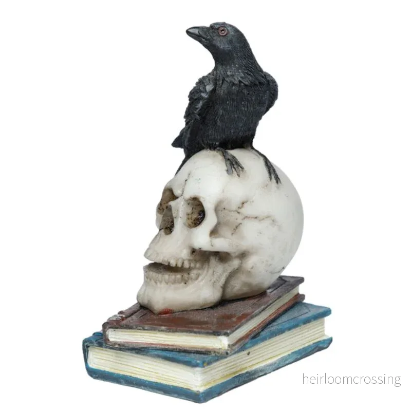 Crow On A Skull And Books Crow On A Skull And Books