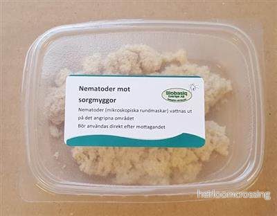 Nematoder | Mot Sorgmyggor & Trips - Bild 2
