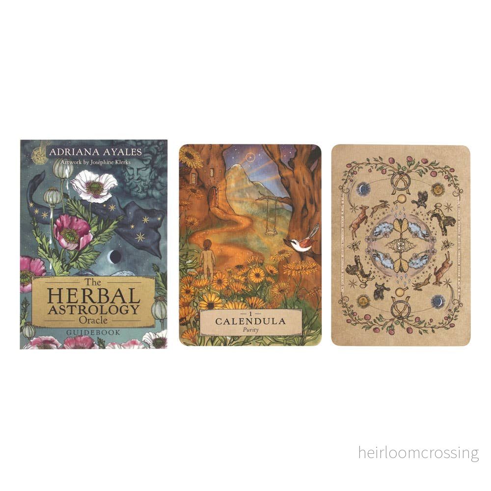 The Herbal Astrology Oracle – Orakelkort & Guidebok - Bild 3