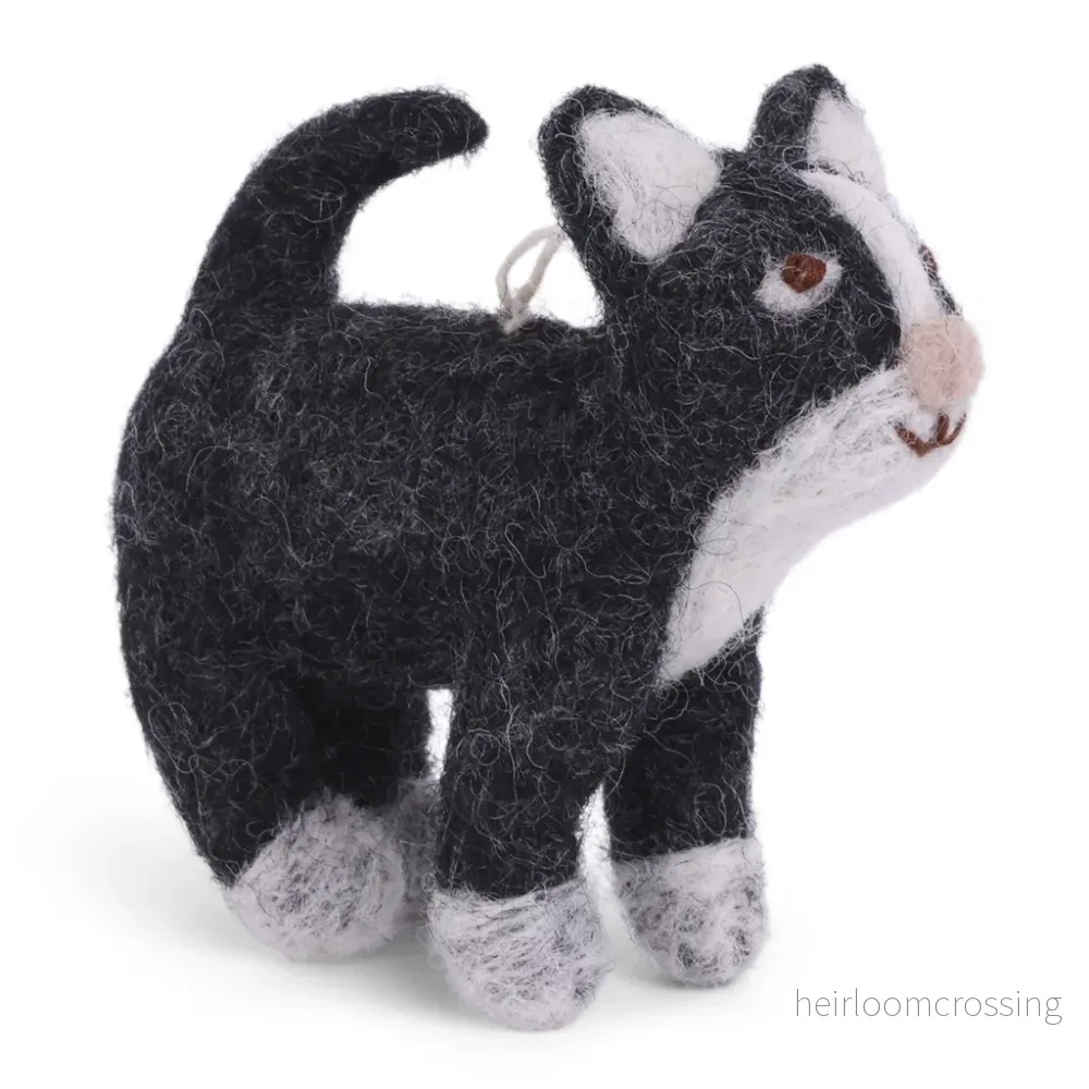 Tovad liten katt Tovad liten katt