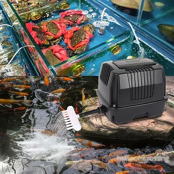 Hygger Luftpump 3000 L/H – 25W - Bild 3