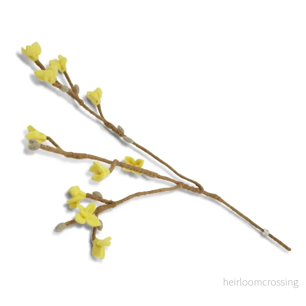 Tovad Forsythia-gren Tovad Forsythia-gren