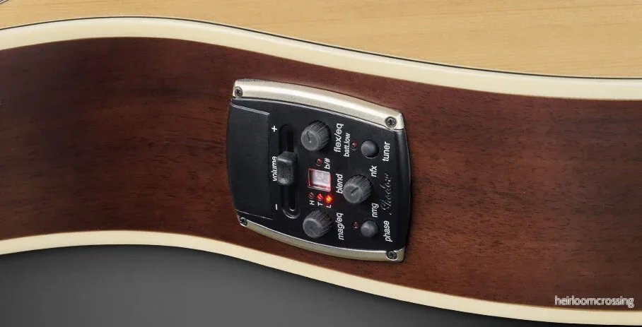 RockBass Alien Deluxe Hybrid Thinline, 5-strängad - Bild 3