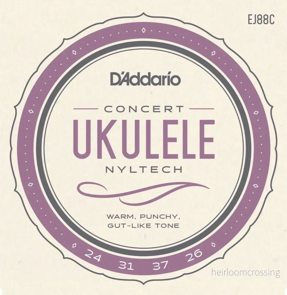 D'Addario EJ88C Nyltech - Konsert