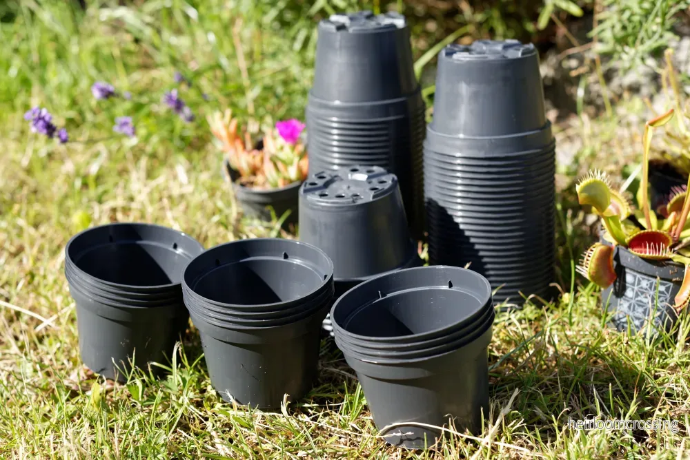 Plastkruka (ø 9 cm) Plastkruka (ø 9 cm)
