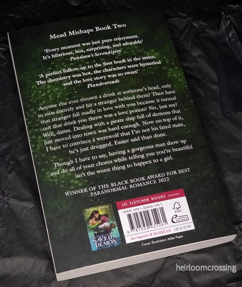 That Time I Got Drunk And Yeeted A Love Potion At A Werewolf (Mead Mishaps #2), by Kimberly Lemming (softback, english edition) - Bild 2