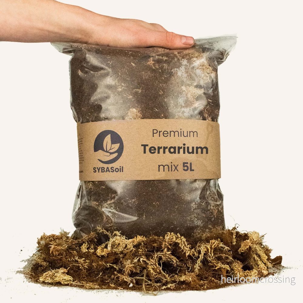 Terrariumjord (5 L) - Bild 3