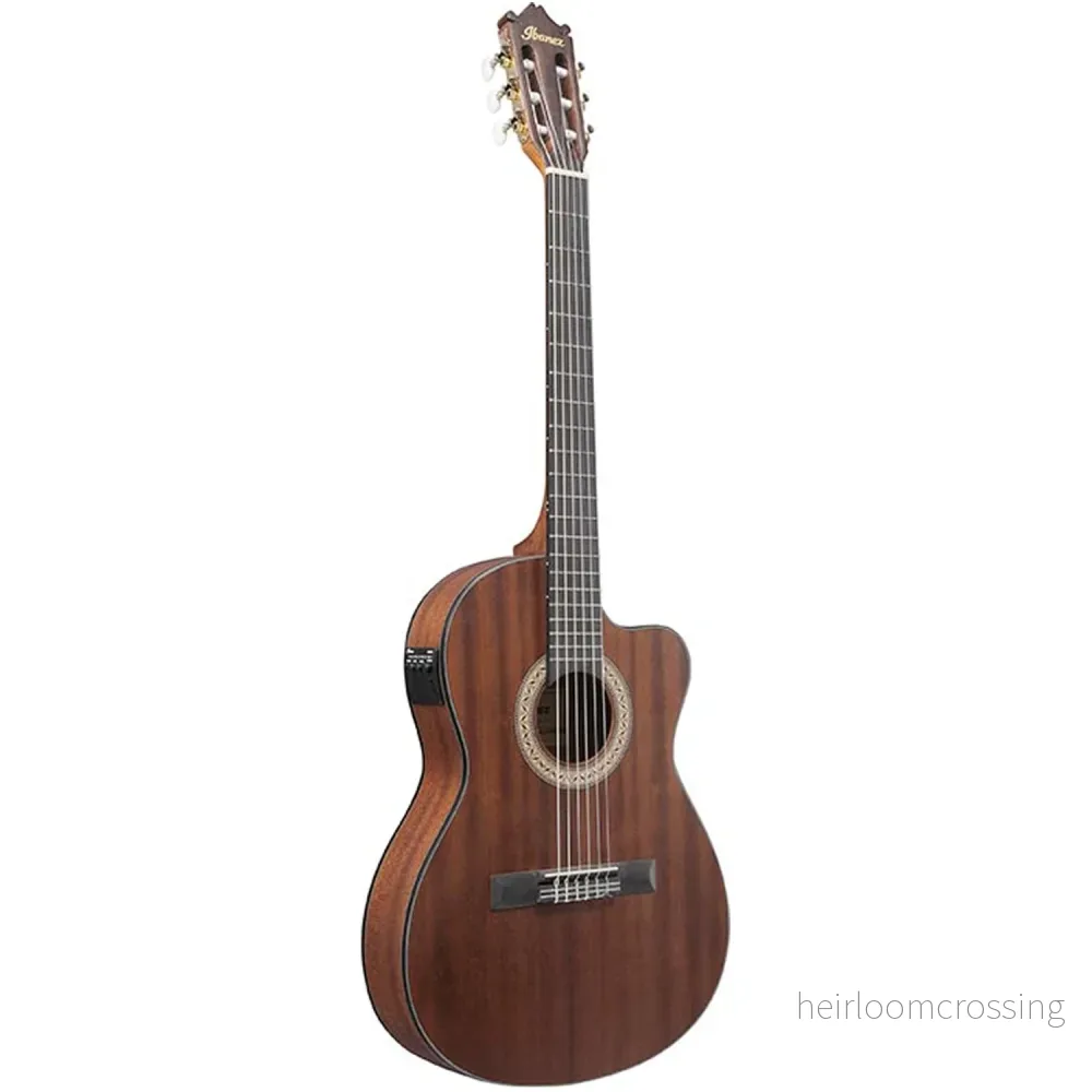 Klassisk nylonsträngad gitarr med cutaway och mikrofon