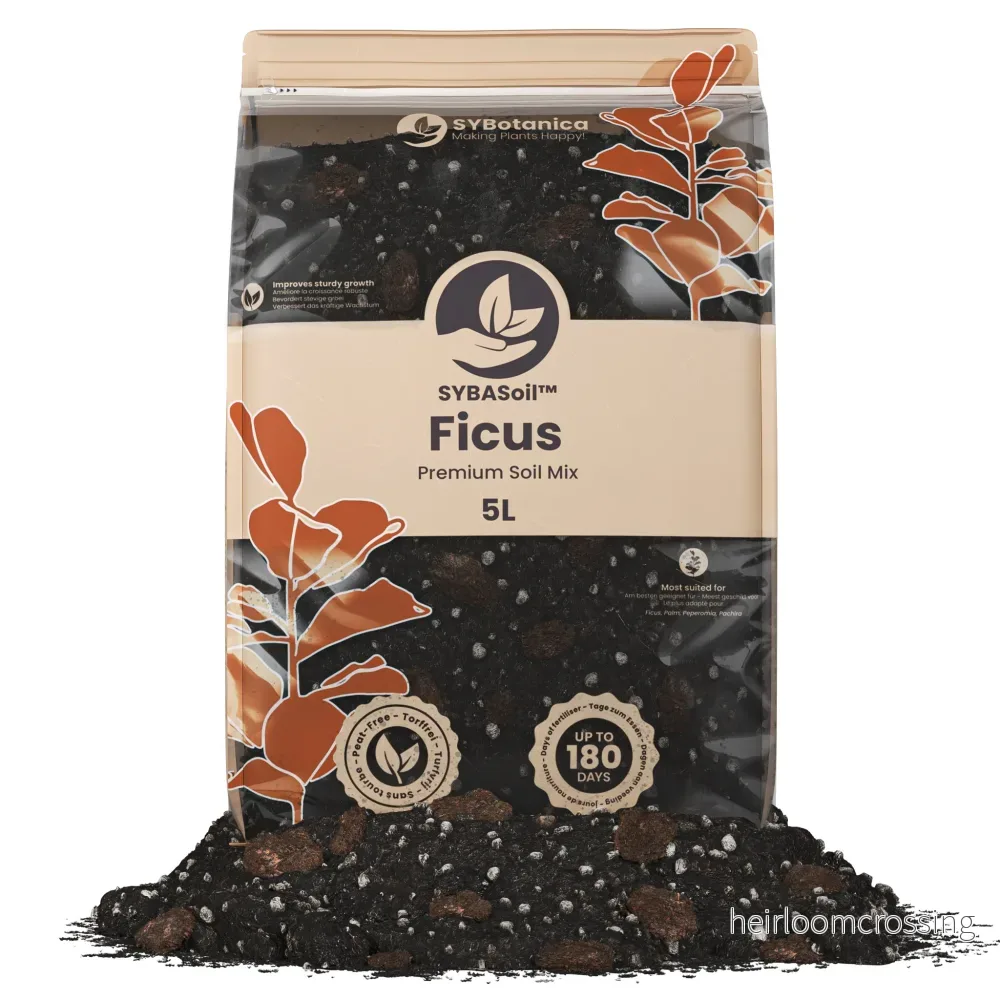 Ficusjord (5 L) Ficusjord (5 L)