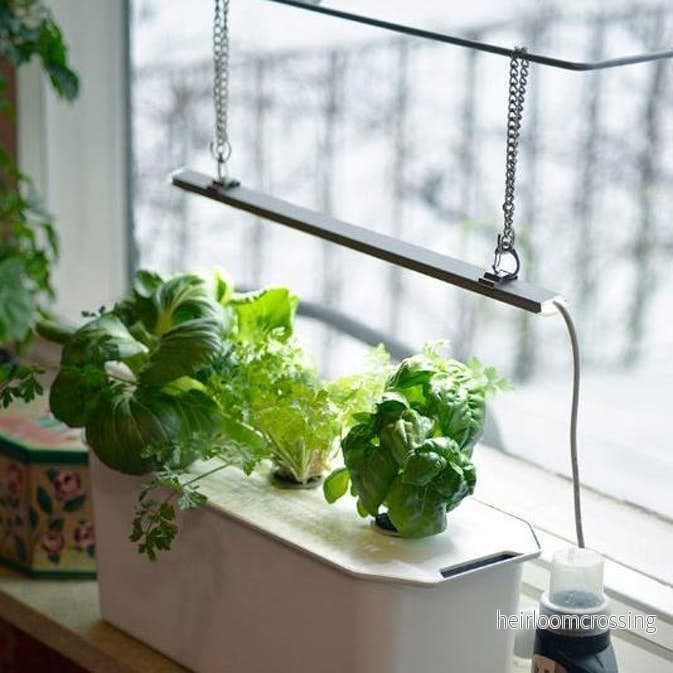 Hängare med sugproppar till Nelson Garden Led belysning Hängare med sugproppar till Nelson Garden Led belysning