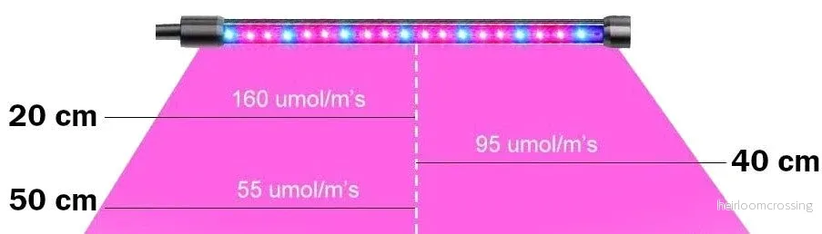 Växtbelysning 4 armar - välj vitt eller färgat ljus - Bild 3