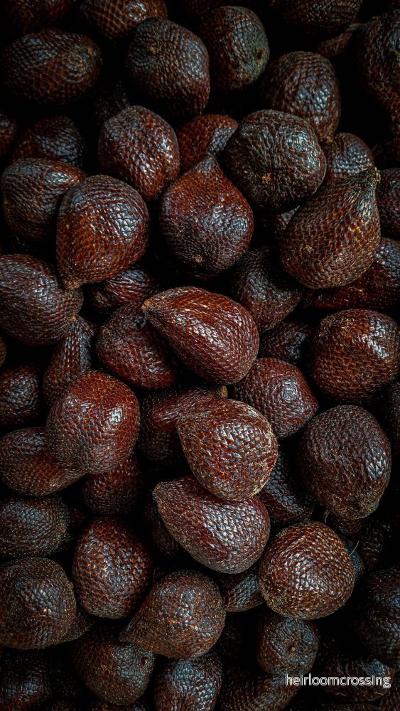 Salak 'Salacca zalacca' | Ätbar