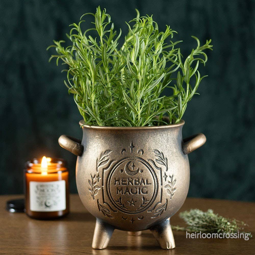 Blomkruka – Häxkittel i Terrakotta (Green Witch) - Bild 2