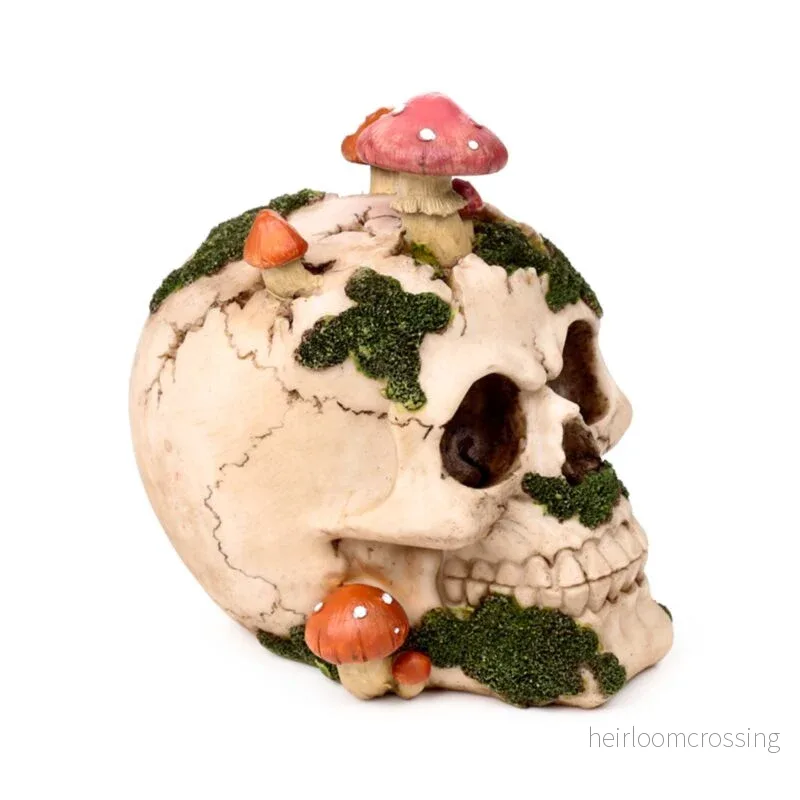 Skull With Mushrooms And Moss Skull With Mushrooms And Moss