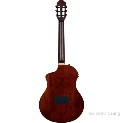 Klassisk gitarr med mick, Thin body, Slim neck, Gloss Burst Finish - Bild 2