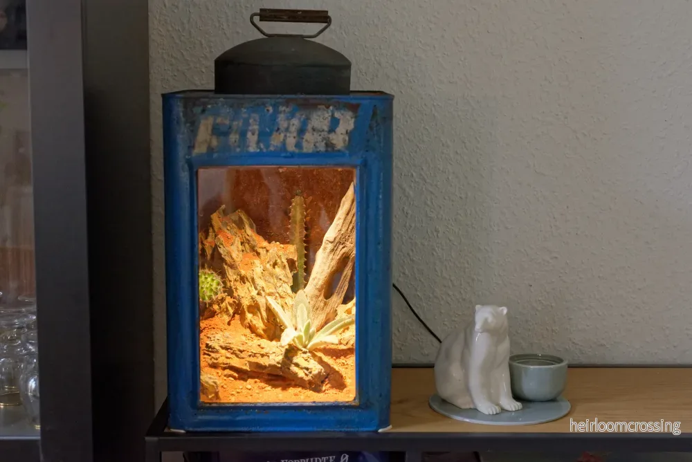 Ökenterrarium Ökenterrarium